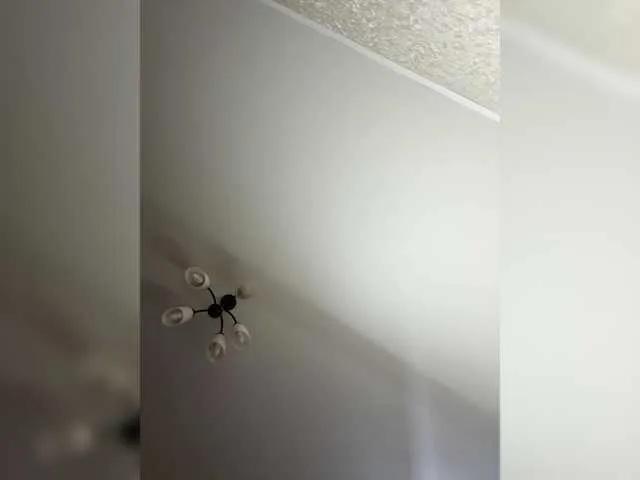 HellMor on BongaCams