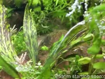 Chaturbate booker_baxton is Freechat booker_baxton — Paint your sins away #uncut #young #gay #bi #twink